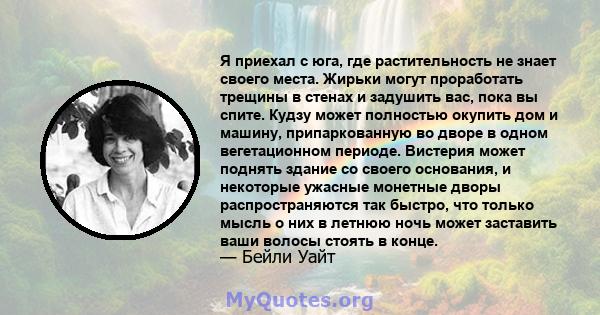 Я приехал с юга, где растительность не знает своего места. Жирьки могут проработать трещины в стенах и задушить вас, пока вы спите. Кудзу может полностью окупить дом и машину, припаркованную во дворе в одном