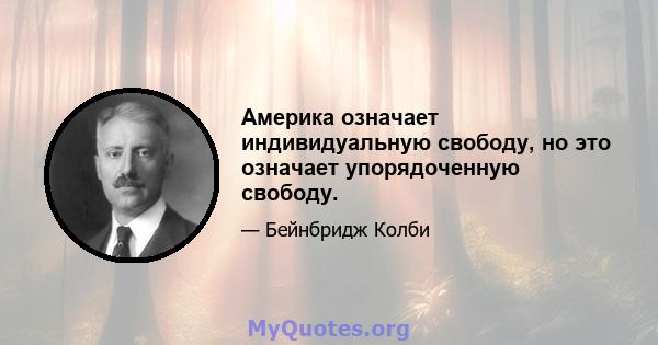 Америка означает индивидуальную свободу, но это означает упорядоченную свободу.