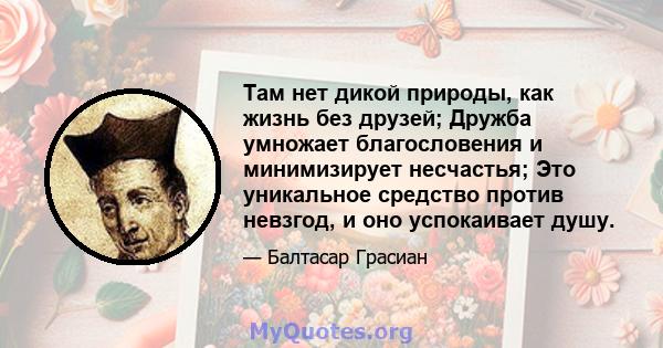 Там нет дикой природы, как жизнь без друзей; Дружба умножает благословения и минимизирует несчастья; Это уникальное средство против невзгод, и оно успокаивает душу.