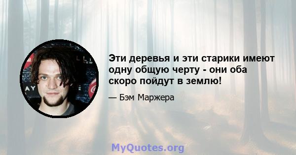 Эти деревья и эти старики имеют одну общую черту - они оба скоро пойдут в землю!