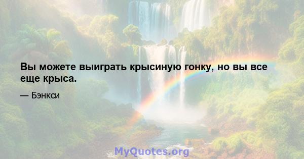 Вы можете выиграть крысиную гонку, но вы все еще крыса.