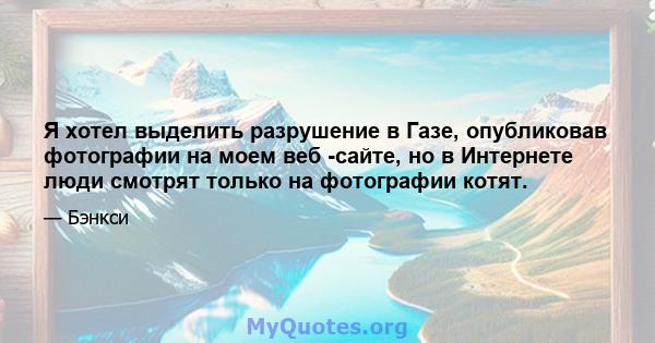 Я хотел выделить разрушение в Газе, опубликовав фотографии на моем веб -сайте, но в Интернете люди смотрят только на фотографии котят.