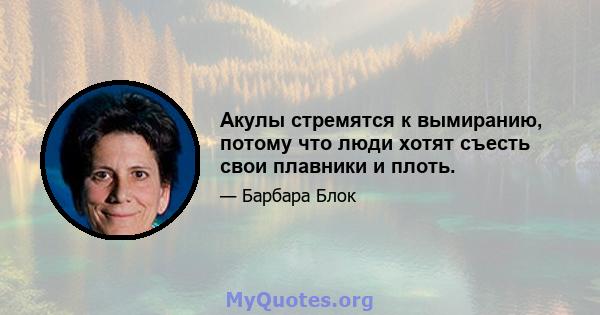 Акулы стремятся к вымиранию, потому что люди хотят съесть свои плавники и плоть.