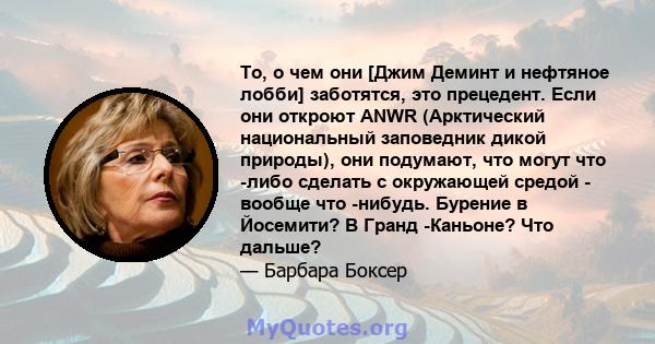 То, о чем они [Джим Деминт и нефтяное лобби] ​​заботятся, это прецедент. Если они откроют ANWR (Арктический национальный заповедник дикой природы), они подумают, что могут что -либо сделать с окружающей средой - вообще