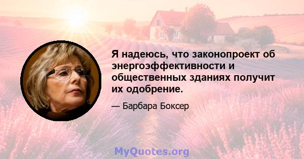 Я надеюсь, что законопроект об энергоэффективности и общественных зданиях получит их одобрение.