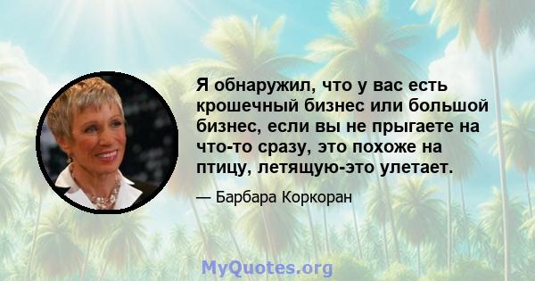 Я обнаружил, что у вас есть крошечный бизнес или большой бизнес, если вы не прыгаете на что-то сразу, это похоже на птицу, летящую-это улетает.