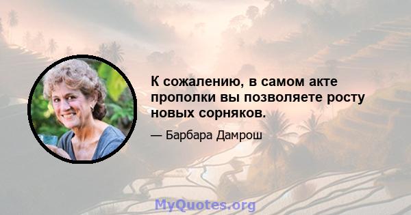 К сожалению, в самом акте прополки вы позволяете росту новых сорняков.