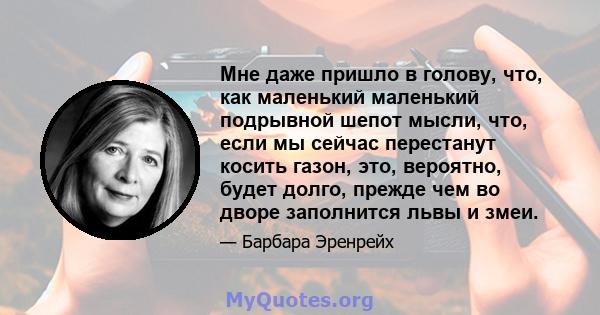 Мне даже пришло в голову, что, как маленький маленький подрывной шепот мысли, что, если мы сейчас перестанут косить газон, это, вероятно, будет долго, прежде чем во дворе заполнится львы и змеи.