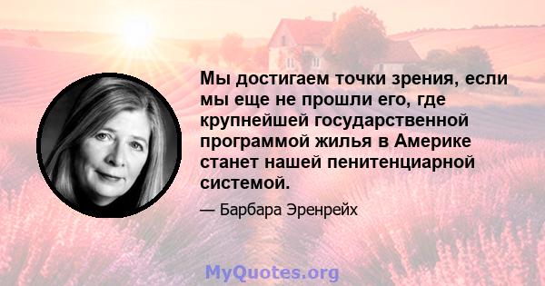 Мы достигаем точки зрения, если мы еще не прошли его, где крупнейшей государственной программой жилья в Америке станет нашей пенитенциарной системой.