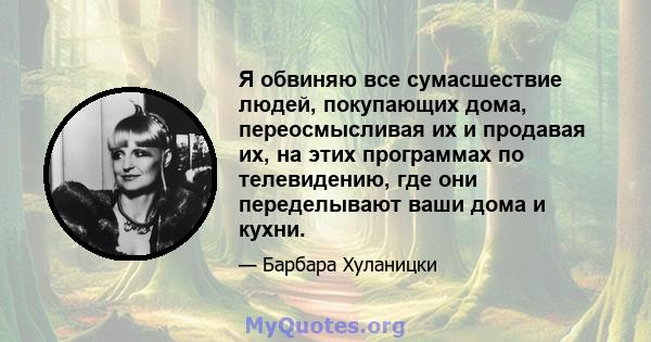 Я обвиняю все сумасшествие людей, покупающих дома, переосмысливая их и продавая их, на этих программах по телевидению, где они переделывают ваши дома и кухни.