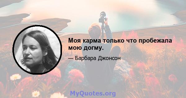 Моя карма только что пробежала мою догму.