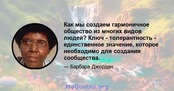 Как мы создаем гармоничное общество из многих видов людей? Ключ - толерантность - единственное значение, которое необходимо для создания сообщества.