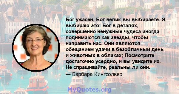 Бог ужасен, Бог велик-вы выбираете. Я выбираю это: Бог в деталях, совершенно ненужные чудеса иногда поднимаются как звезды, чтобы направить нас. Они являются обещанием удачи в безоблачный день и животных в облаках;