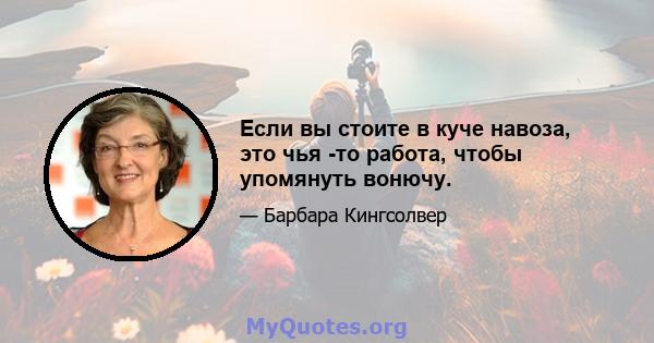 Если вы стоите в куче навоза, это чья -то работа, чтобы упомянуть вонючу.