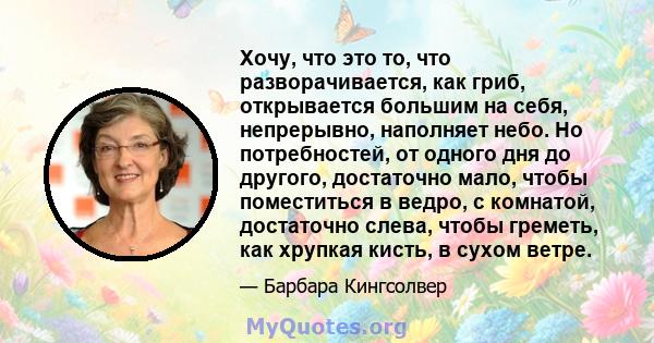 Хочу, что это то, что разворачивается, как гриб, открывается большим на себя, непрерывно, наполняет небо. Но потребностей, от одного дня до другого, достаточно мало, чтобы поместиться в ведро, с комнатой, достаточно