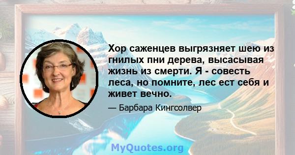 Хор саженцев выгрязняет шею из гнилых пни дерева, высасывая жизнь из смерти. Я - совесть леса, но помните, лес ест себя и живет вечно.