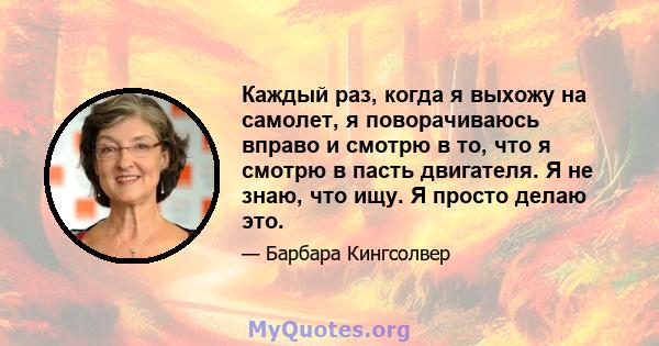 Каждый раз, когда я выхожу на самолет, я поворачиваюсь вправо и смотрю в то, что я смотрю в пасть двигателя. Я не знаю, что ищу. Я просто делаю это.