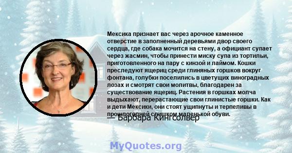 Мексика признает вас через арочное каменное отверстие в заполненный деревьями двор своего сердца, где собака мочится на стену, а официант супает через жасмин, чтобы принести миску супа из тортильи, приготовленного на