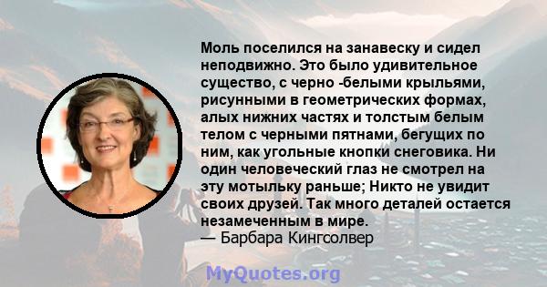 Моль поселился на занавеску и сидел неподвижно. Это было удивительное существо, с черно -белыми крыльями, рисунными в геометрических формах, алых нижних частях и толстым белым телом с черными пятнами, бегущих по ним,