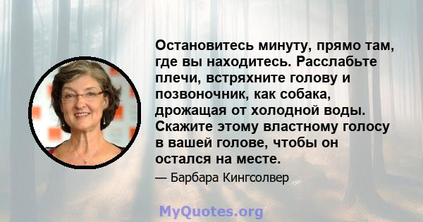 Остановитесь минуту, прямо там, где вы находитесь. Расслабьте плечи, встряхните голову и позвоночник, как собака, дрожащая от холодной воды. Скажите этому властному голосу в вашей голове, чтобы он остался на месте.