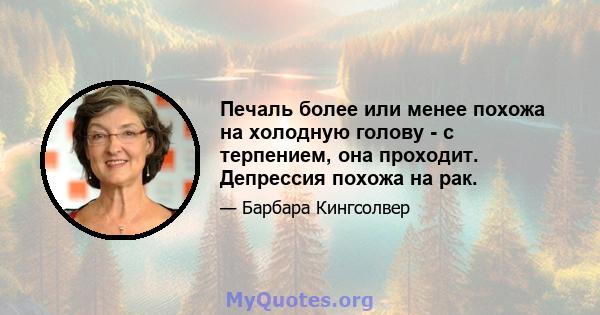 Печаль более или менее похожа на холодную голову - с терпением, она проходит. Депрессия похожа на рак.