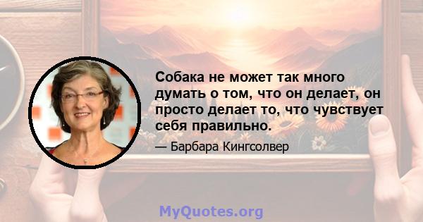 Собака не может так много думать о том, что он делает, он просто делает то, что чувствует себя правильно.