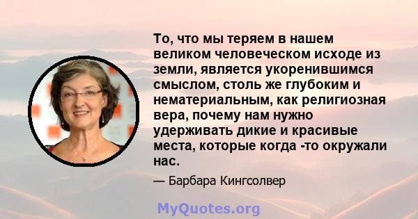 То, что мы теряем в нашем великом человеческом исходе из земли, является укоренившимся смыслом, столь же глубоким и нематериальным, как религиозная вера, почему нам нужно удерживать дикие и красивые места, которые когда 