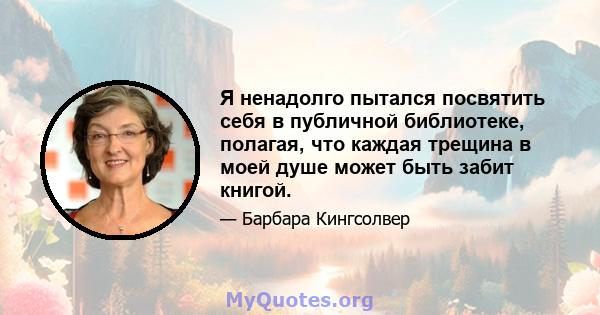 Я ненадолго пытался посвятить себя в публичной библиотеке, полагая, что каждая трещина в моей душе может быть забит книгой.