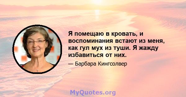 Я помещаю в кровать, и воспоминания встают из меня, как гул мух из туши. Я жажду избавиться от них.