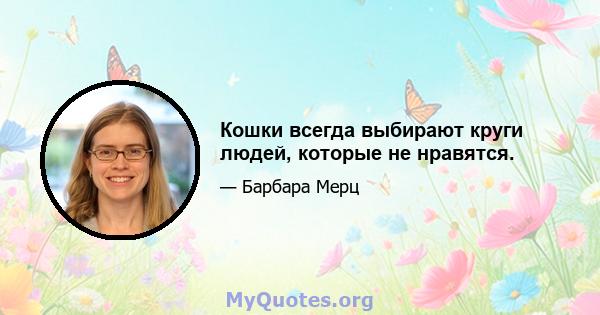 Кошки всегда выбирают круги людей, которые не нравятся.