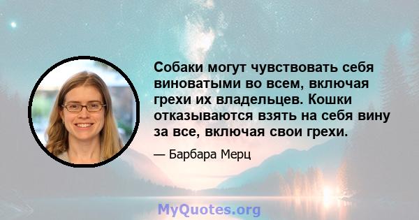 Собаки могут чувствовать себя виноватыми во всем, включая грехи их владельцев. Кошки отказываются взять на себя вину за все, включая свои грехи.