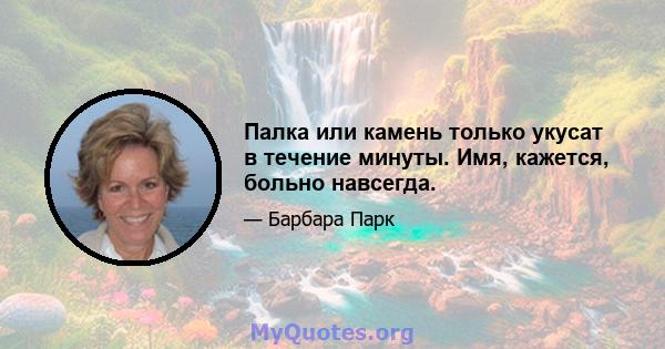 Палка или камень только укусат в течение минуты. Имя, кажется, больно навсегда.