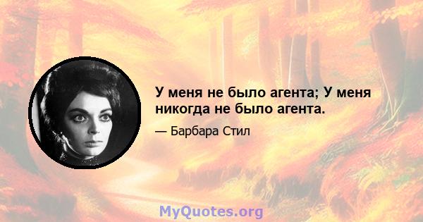 У меня не было агента; У меня никогда не было агента.