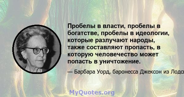 Пробелы в власти, пробелы в богатстве, пробелы в идеологии, которые разлучают народы, также составляют пропасть, в которую человечество может попасть в уничтожение.