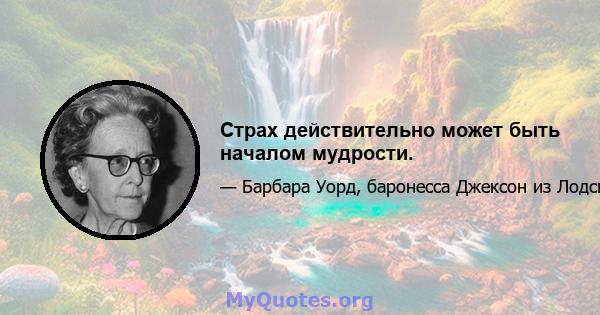 Страх действительно может быть началом мудрости.