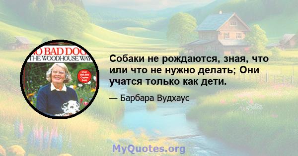 Собаки не рождаются, зная, что или что не нужно делать; Они учатся только как дети.