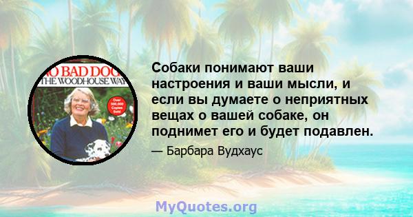 Собаки понимают ваши настроения и ваши мысли, и если вы думаете о неприятных вещах о вашей собаке, он поднимет его и будет подавлен.