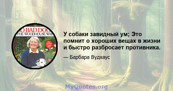 У собаки завидный ум; Это помнит о хороших вещах в жизни и быстро разбросает противника.