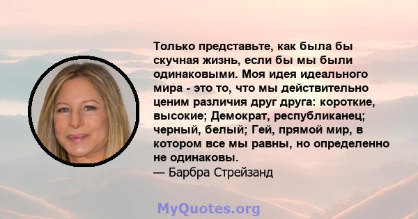 Только представьте, как была бы скучная жизнь, если бы мы были одинаковыми. Моя идея идеального мира - это то, что мы действительно ценим различия друг друга: короткие, высокие; Демократ, республиканец; черный, белый;