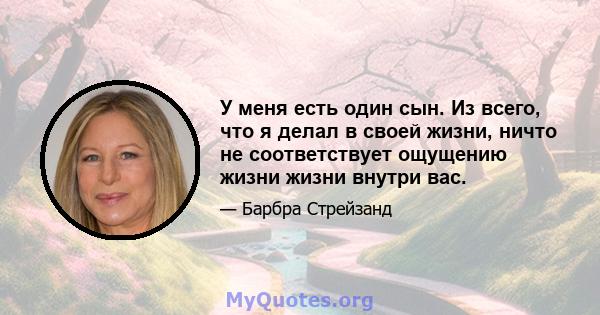 У меня есть один сын. Из всего, что я делал в своей жизни, ничто не соответствует ощущению жизни жизни внутри вас.