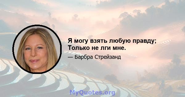 Я могу взять любую правду; Только не лги мне.