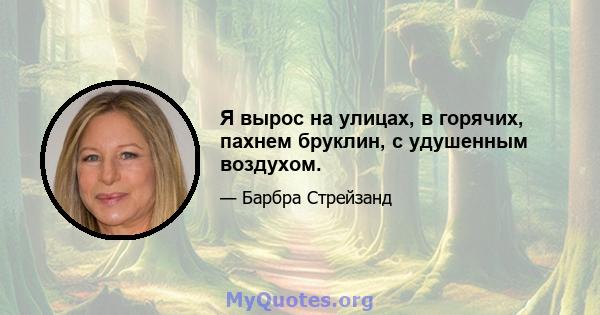 Я вырос на улицах, в горячих, пахнем бруклин, с удушенным воздухом.