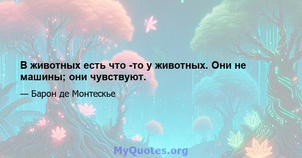 В животных есть что -то у животных. Они не машины; они чувствуют.