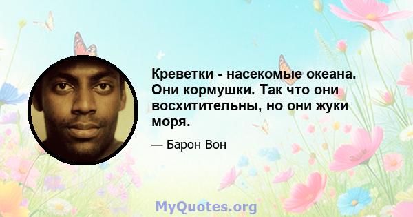 Креветки - насекомые океана. Они кормушки. Так что они восхитительны, но они жуки моря.