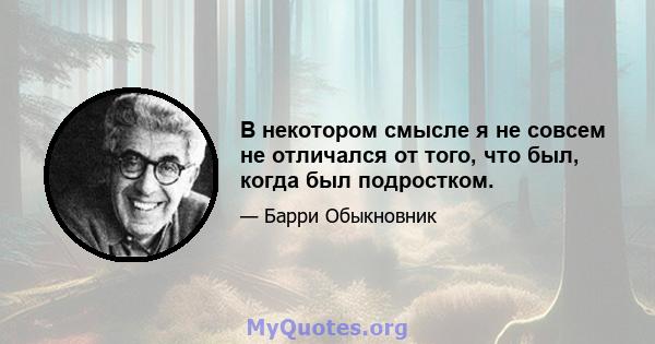 В некотором смысле я не совсем не отличался от того, что был, когда был подростком.