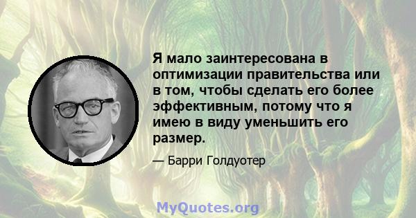 Я мало заинтересована в оптимизации правительства или в том, чтобы сделать его более эффективным, потому что я имею в виду уменьшить его размер.