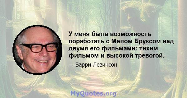 У меня была возможность поработать с Мелом Бруксом над двумя его фильмами: тихим фильмом и высокой тревогой.