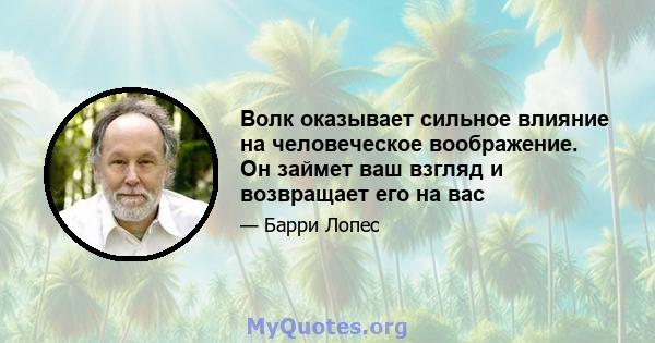 Волк оказывает сильное влияние на человеческое воображение. Он займет ваш взгляд и возвращает его на вас