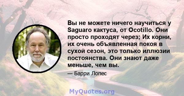 Вы не можете ничего научиться у Saguaro кактуса, от Ocotillo. Они просто проходят через; Их корни, их очень объявленная покоя в сухой сезон, это только иллюзии постоянства. Они знают даже меньше, чем вы.