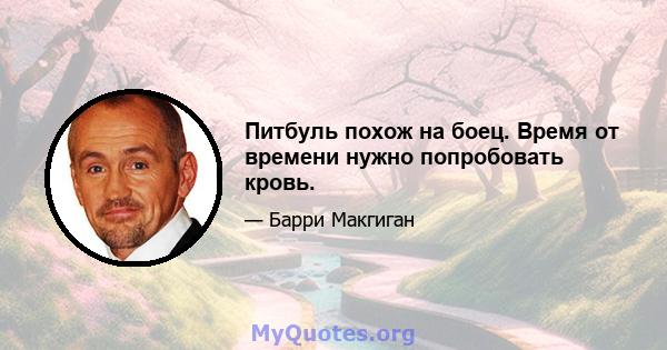 Питбуль похож на боец. Время от времени нужно попробовать кровь.